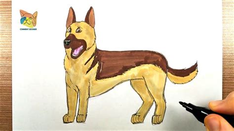 Facile Comment Dessiner Un Chien Berger Allemand comment dessiner un chien berger allemand etape par etape - YouTube